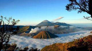 gigafa homestay - Probolinggo - 0