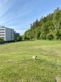 Spacious 3 Bedroom next to Thon Hotel, Storsenter Shopping, and 15 minutes to Oslo - 9