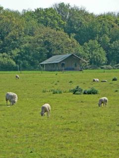 Summerfield - Sedgeford - 5