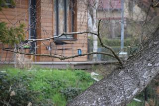 Klein aber fein, Ferienhaus am Tonteich - 1