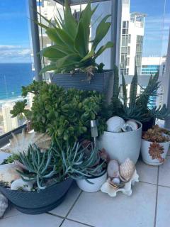 NOTINUSEOceanview Luxury Level 36 Couple Oasis - 4