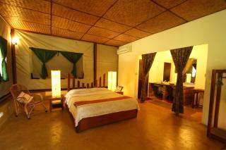 Jungle Hut Resort - 9