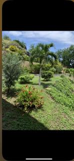 Kasamia Studio Boucan Canot - 5