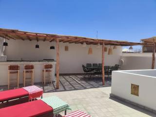 Riad White Cactus - 1