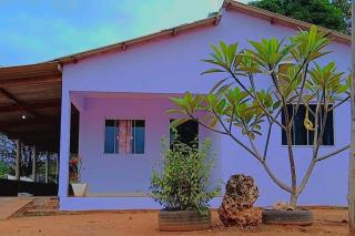 Casa flôr de lavanda - 1
