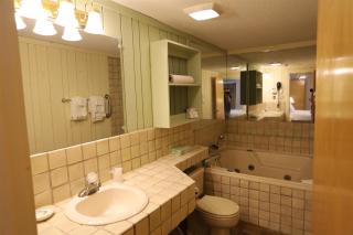 Garden Level Inns WV105 - Waterville Valley - 5