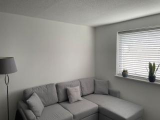 Lovely 1-bedroom apartment in London - London - 7