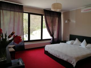 Pensiunea Decebal Resort - Cazanele Dunarii - Dubova - 8