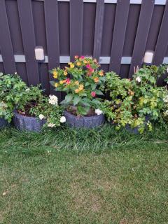 Haus im Grünen - App OG - Stemwede - 0