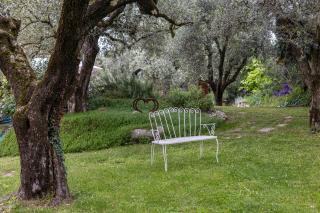Agriturismo della Pieve Bardolino - Bardolino - 6