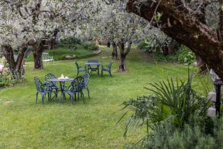 Agriturismo della Pieve Bardolino - Bardolino - 5