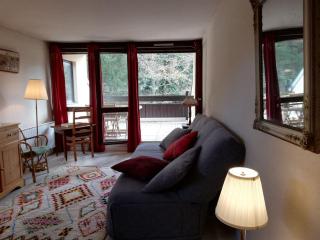 Grand studio 34 m2 à Villard de Lans proche Centre - Villard-de-Lans - 5