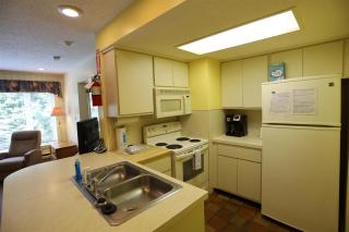 Inns of WV 304, 1bd, WV - Waterville Valley - 8