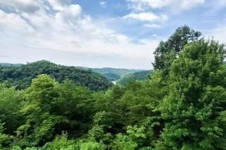 Serenity Now - New Tazewell - 7
