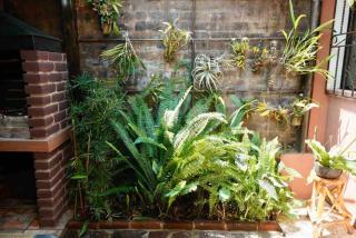 Spacious Amazing Vacation House beautiful Backyard - Concepción de Ataco - 3