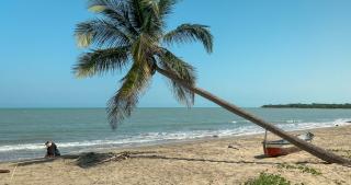 Coccoloba Beach Hostel - Dibulla - 6
