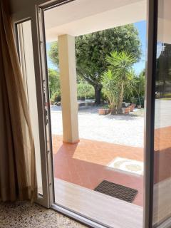 Il Leccio Agriturismo - 4