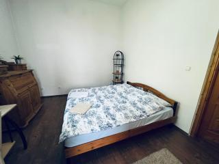 Central Apartment - Pécs - 6