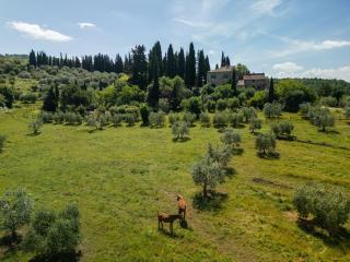 The House , Tuscany and the pool - Castellina in Chianti - 9