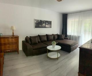 Apartament Herculane Andra - Băile Herculane - 7