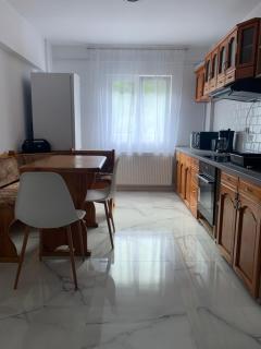 Apartament Herculane Andra - Băile Herculane - 1