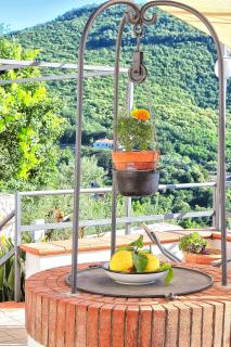 Tenuta Buonocore - Arola - 7