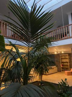 Casa Tegue - Nazaret - 3