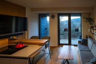 Apartmán Jasan Brčálník - Železná Ruda - 1