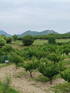 Gîte les trois abeilles - 6