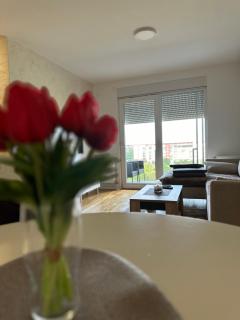 PARK NOVI Apartmani - Novi Sad - 3