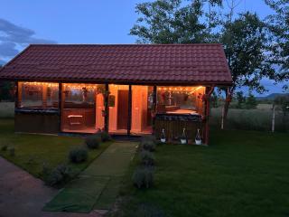 Casa OLD BRICK - Ocna Şugatag - 9