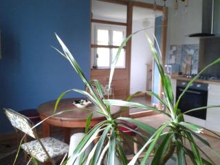 Logement indépendant - Colmar - 5