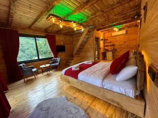 İhvan Suit Bungalov otel - Çamlıhemşin - 5