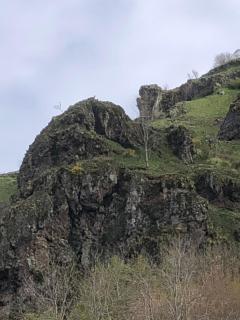 La Gentiane - Le Falgoux - 3