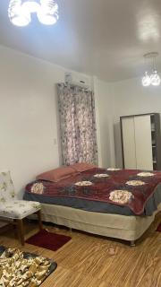 Ildalice - Manaus - 5