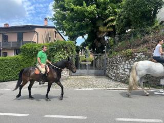 Borgo del 1700- Le Scuderie- trilocale - 7