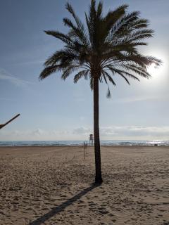Apartamento Los Juncos - 50m playa - Sólo familias - Parking gratuito - Playa de Gandia - 4
