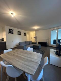 Grand T3 spacieux - Annemasse - 9