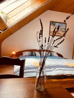 Odw homes - gemütliche Ferienwohnung - Weinheim - 1