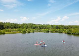 Witton Castle Country Park - Bishop Auckland - 1