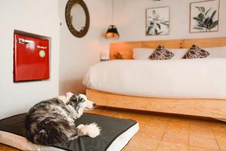 Petit Mesón (Pet Friendly Hotel) - Valle de Bravo - 4