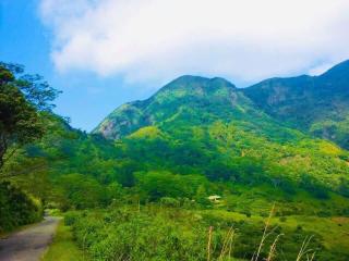 Sir John's Bungalow - 7