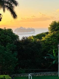 Falcon IslandView - Airport Pickup Available - 24Security - Montego Bay - 8