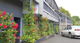 Motel 80 - Auckland - 4