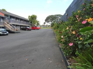 Motel 80 - Auckland - 2