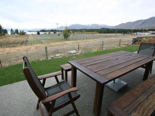 Silver Tussock - Lake Tekapo - 2
