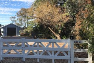 Pine Hill Cottage - shabby chic & peaceful haven - Katoomba - 7