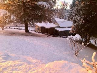 Pine Hill Cottage - shabby chic & peaceful haven - Katoomba - 6