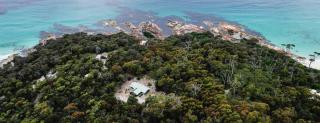 The Blue Bush Shack in Binalong Bay - Binalong Bay - 9