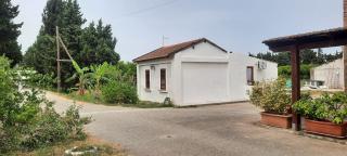 Azienda Agricola Neocastrum - 4